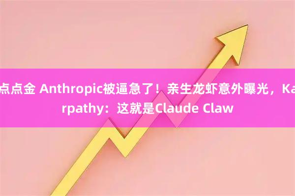 点点金 Anthropic被逼急了！亲生龙虾意外曝光，Karpathy：这就是Claude Claw